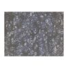 Human Ovarian Adenocarcinoma Cell Line, #CAOV-3