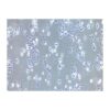 Human Non-Small-Cell Lung Cancer Cell Line, #NCI-H358