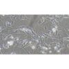 Human Pancreatic Ductal Cell Line, #HPNE