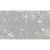 Human Renal Clear-Cell Adenocarcinoma Cell Line, #786-O[786-0]