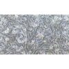 Human Brain Glioblastoma Cell Line, #KNS-89