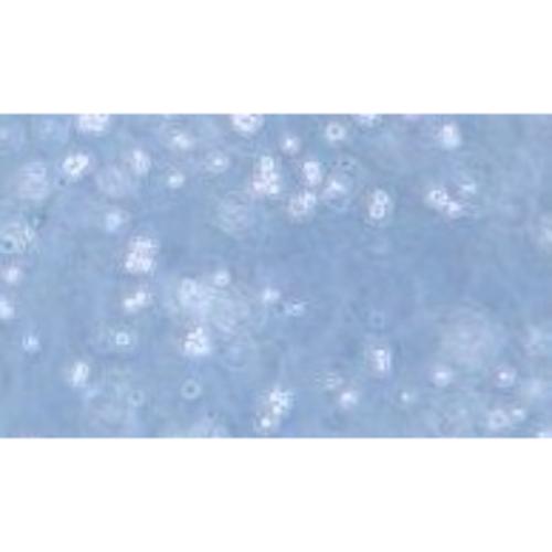 Human B-Lymphocytic Leukemia Cell Line, #BALL-1