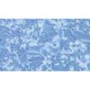Human Lung Cancer Cell Line, #NCI-H1944