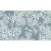 Human Gastric Carcinoma Cell, #KATO III