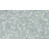 Human Acute Myeloid Leukemia Cell Line, #MOLM-13