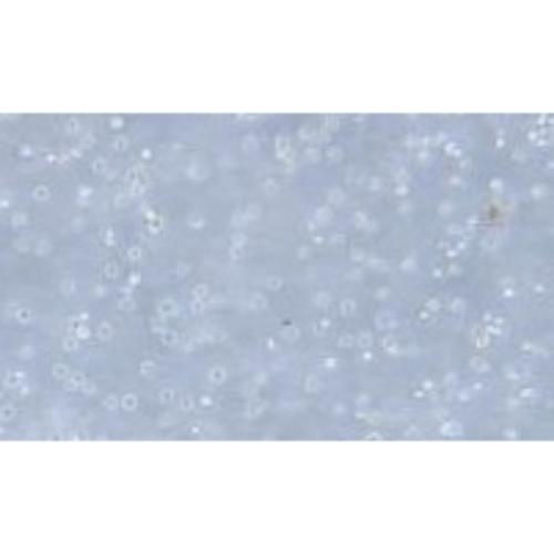 Human Acute Myeloid Leukemia Cell Line, #SKM-1