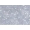 Human Acute Myeloid Leukemia Cell Line, #NOMO1