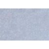 Human B-Cell Lymphoma Cell Line, #OCI-LY19