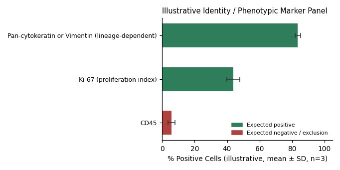 Human Gastric Adenocarcinoma Cell Line, #AGS - Image 2