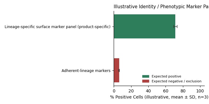 Normal Cell Line Of The Human Prostate Gland, #RWPE-2 - Image 2