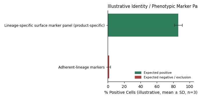 Immortalized Cell Line Of The Human Ureteric Epithelium, #SV-HUC-1 - Image 2