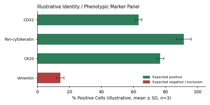 Human Colorectal Cancer Cell Line, #LS513 - Image 2