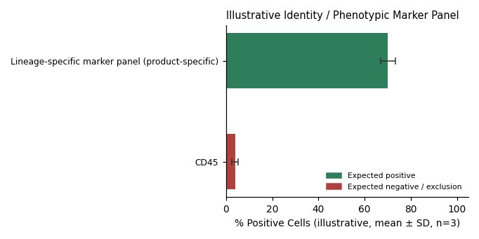 Normal Cell Line Of The Human Prostate Gland, #RWPE-1 - Image 2