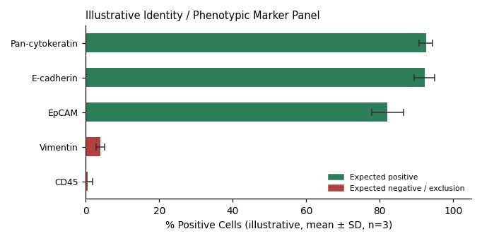 Human Normal Colonic Epithelial Cell Line, #NCM 460 - Image 2