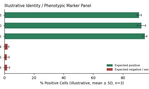 Primary Rat Adipose-derived Mesenchymal Stem Cells (ADSCs)