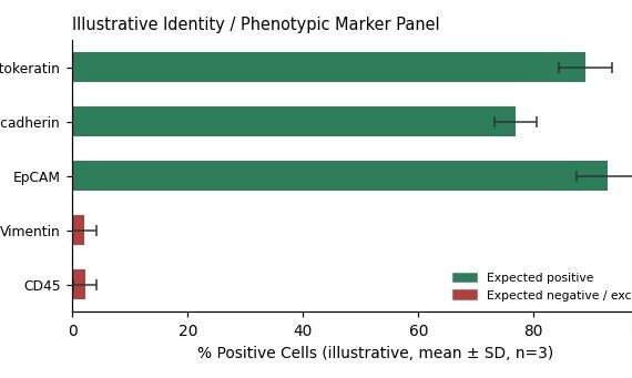 Primary Caprine Endometrial Epithelial Cells (EnEC)