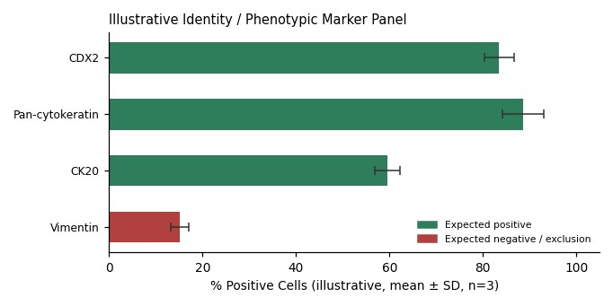 HT-55 Human Colon Carcinoma Cell Line - Image 2