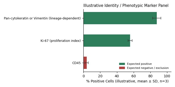 EBC-1 Human Lung Squamous Cell Carcinoma Cell Line - Image 2