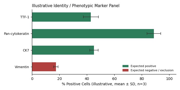 HCC-15 Human Lung Carcinoma Cell ( non-small Cell ) Cell Line - Image 2