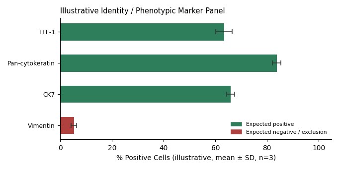 DMS53 Human Small Cell Lung Carcinoma Cell Line - Image 2