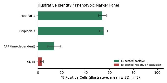 Hep3B Human Liver Carcinoma Cell Line - Image 2