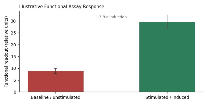 AMO-1 Human Bone Marrow Plasmacytoma - Image 4