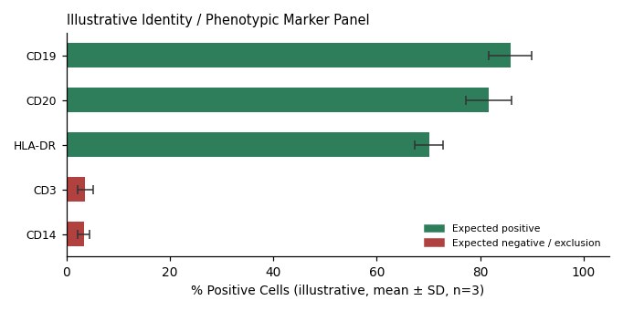 Daudi Human Burkitt Lymphoma Cell Line - Image 2