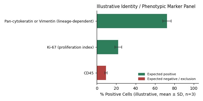 Es-2 Human Ovarian Clear Cell Carcinoma Cell Line - Image 2