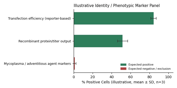 CHO Chinese Hamster Ovary Cell Line - Image 2