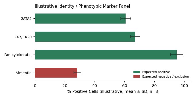 HT1376 Human Bladder Carcinoma Cell Line - Image 2