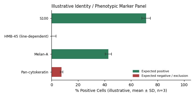 C32 Human Malignant Melanoma Cell Line - Image 2