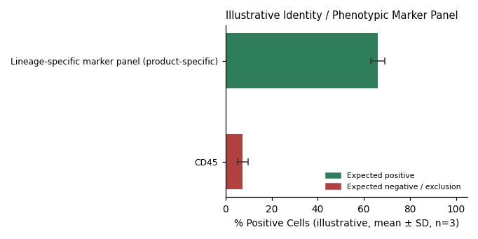 HACAT Human Immortalized Epidermoid Cell Line - Image 2