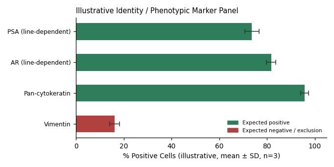 DU145 Human Prostate Carcinoma Tumor Cell Line - Image 2