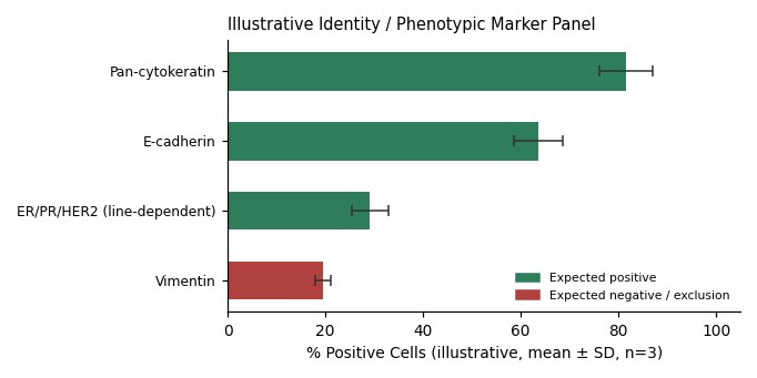 EFM-192A Human Breast Carcinoma Cell Line - Image 2