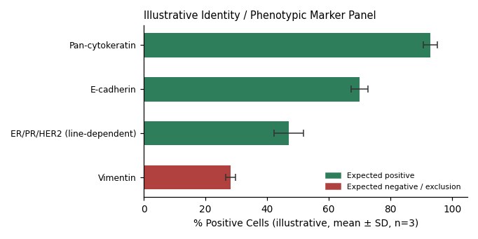 HCC1143 Human Breast Carcinoma Cell Line - Image 2