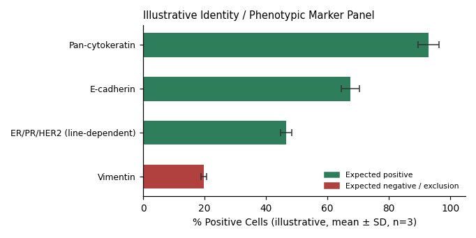 DU4475 Human Breast Carcinoma ( Skin Metastasis ) Cell Line - Image 2