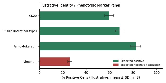 23132/87 Human Gastric Carcinoma Cell Line - Image 2