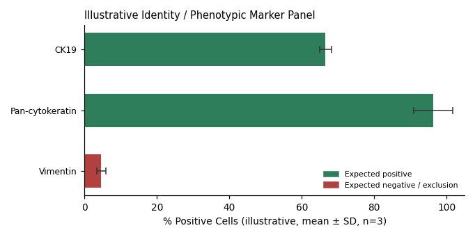 BxPC-3 Human Pancreatic Carcinoma Tumor Cell Line - Image 2