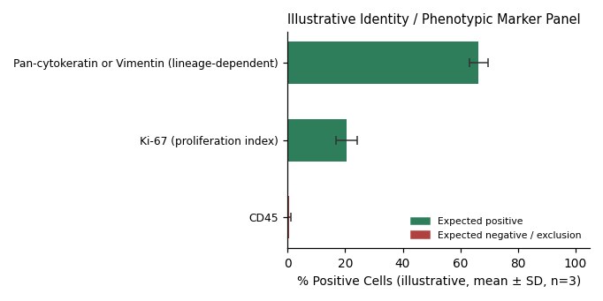 CCD-1095Sk Human Breast Skin Cell Adjacent to Invasive Ductal Carcinoma Cell Line - Image 2