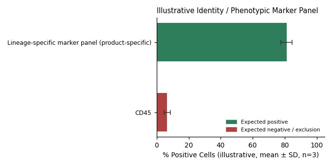 WPMY-1 Human Normal Prostate Stromal Immortalized Cell Line - Image 2