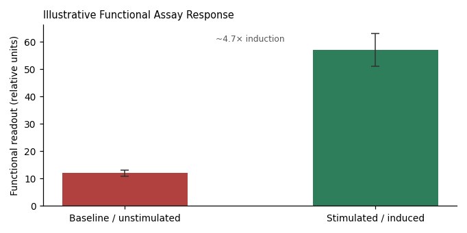 WPMY-1 Human Normal Prostate Stromal Immortalized Cell Line - Image 4