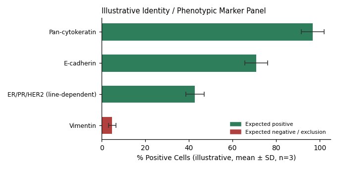 HBL-100 Human SV40 Breast Carcinoma Cell Line - Image 2