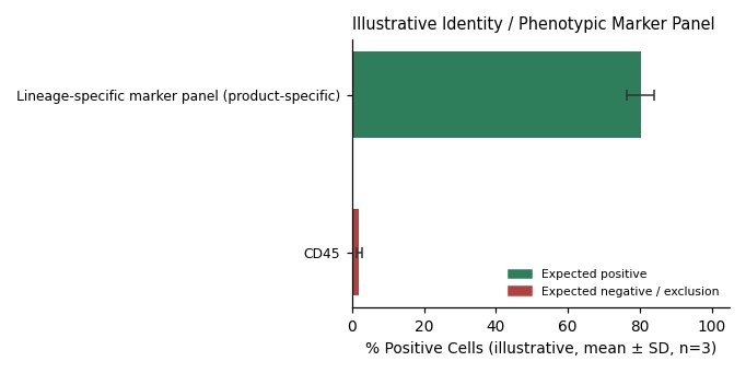 RWPE-2 Human Prostate Normal Cell Line - Image 2
