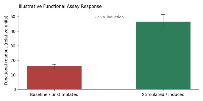 RWPE-2 Human Prostate Normal Cell Line - Image 4