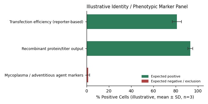 HEK293-EBNA1-6E Human Embryonic Kidney Cell expressing EBV EBNA1 Protein Cell Line - Image 2