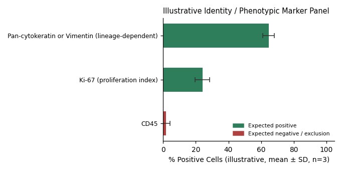COV362 Human Ovary Membrane -like Carcinoma Cell Line - Image 2