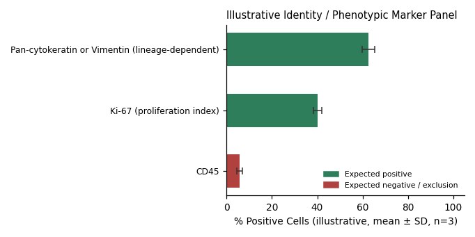 HPAF-II Human Pancreatic Adenocarcinoma Cell Line - Image 2