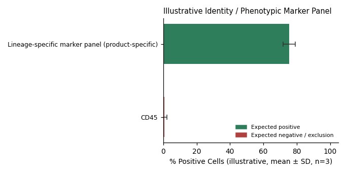 NRK Rat Kidney Cell Line - Image 2