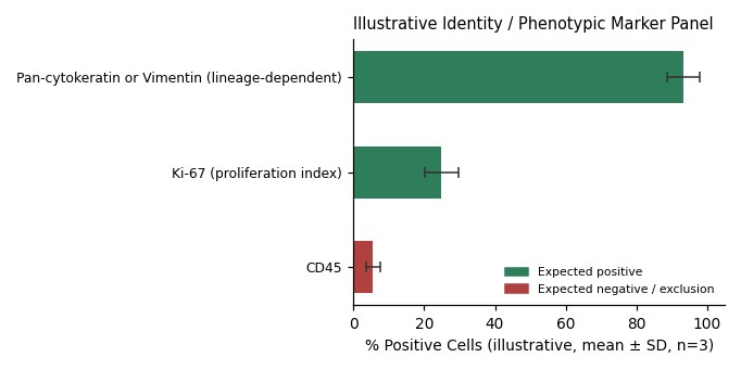 C127 Mouse Breast Tumor Cell Line - Image 2