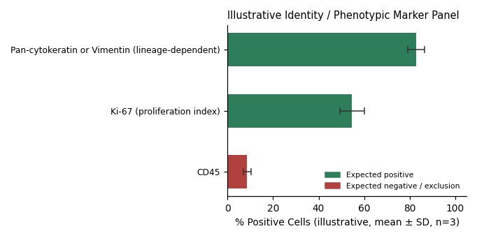 FOX-NY Mouse B Lymphoblast Tumor Cell Line - Image 2